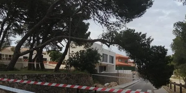 L’Ajuntament d’Altafulla estudiarà les zones de pineda del municipi per comprovar-ne l’estabilitat i evitar noves caigudes d’arbres