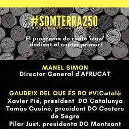 #43 - Som Terra amb Pili Garcia del 4/8/2020 - episode art