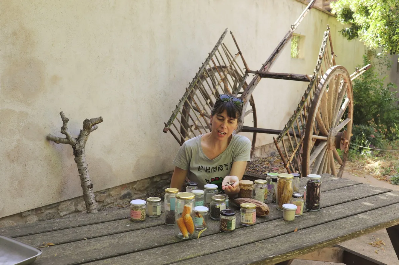 El banc de llavors de la Conca, un projecte per recuperar i expandir les varietats locals