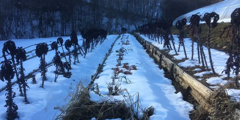 El Cerdanya Ecoresort desenvolupa el primer hort de permacultura del Pirineu