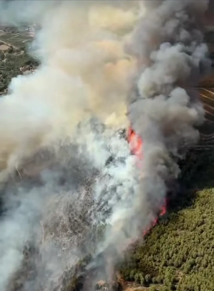 Estabilitzat l'incendi del Pla de Manlleu després de cremar 80 hectàrees de superfície majoritàriament forestals
