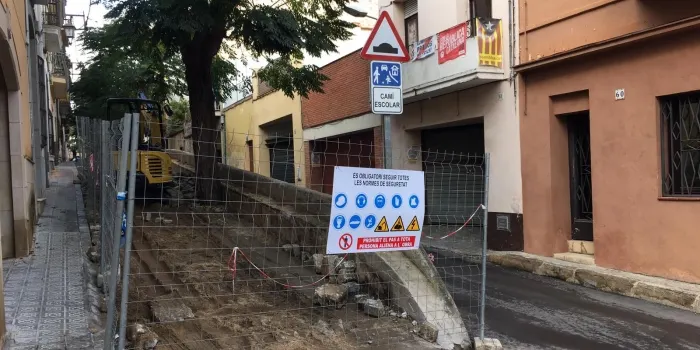 Els arbres de l’altell del rial Sa Clavella van ser protagonistes en el torn de preguntes del ple d’ahir