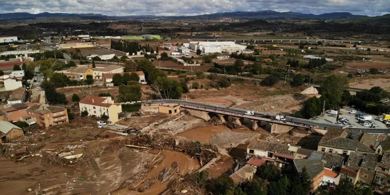 La Tintorera apareguda a Canet era en realitat un peix Xovato