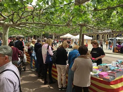 ESPECIAL SANT JORDI: La visió del llibreter