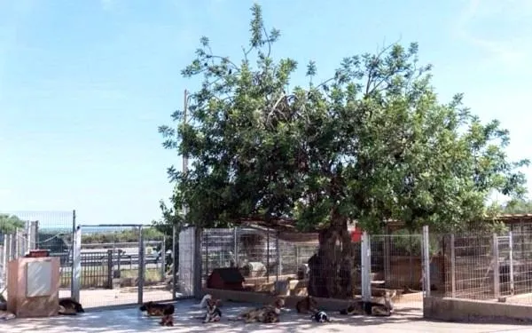 Foto: Diari de Tarragona