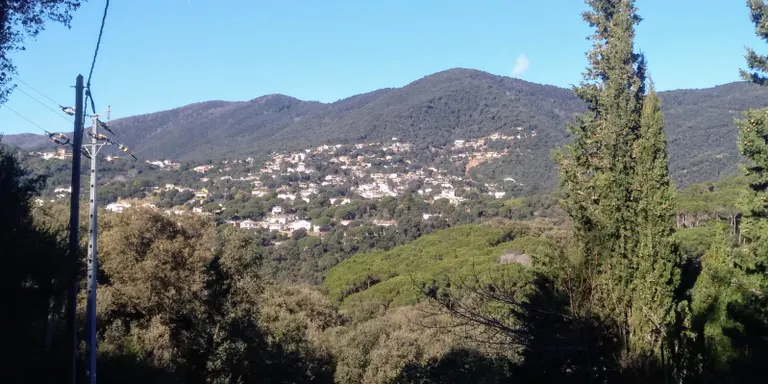 Prohibit fer foc a zones properes al bosc