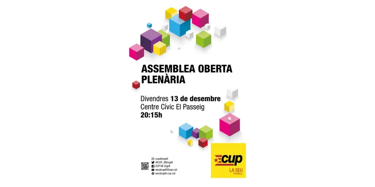 La CUP de la Seu organitza una assemblea oberta