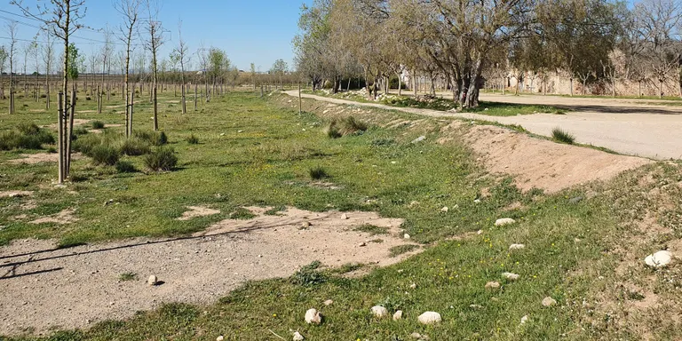 El Morell ofereix una beca de 4.000 euros per projectes de recerca i investigació