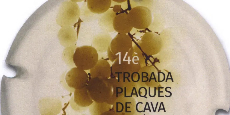 "Raïm, ple de vida!", placa de cava guanyadora del Concurs de Disseny de Sant Galderic