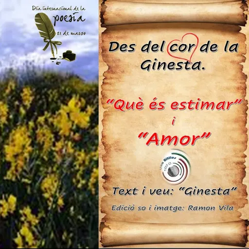 Des del cor de la “Ginesta”, avui 21/03, dia internacional de la Poesia: “Què és estimar” i “Amor