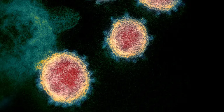Dades sobre coronavirus corresponents a l’ABS de Vilassar de Mar-Cabrera i a l’ Hospital de Mataró