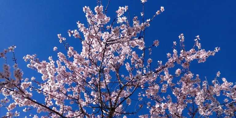 Caldes registra la temperatura mínima més baixa en un mes d'abril en 26 anys