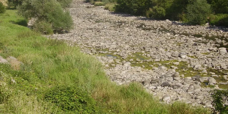 Els ecologistes demanen que no es doni més concessions per a hidroelèctriques al Segre