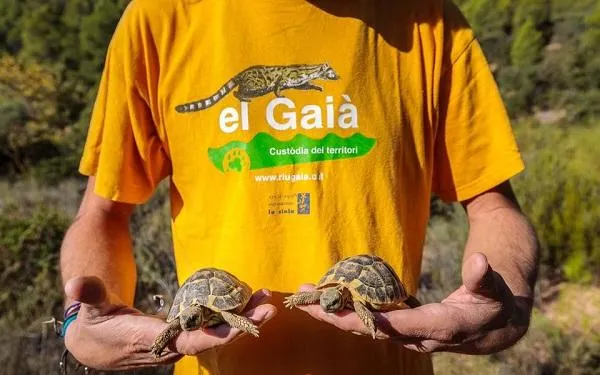 Foto: Associació Mediambiental La Sínia