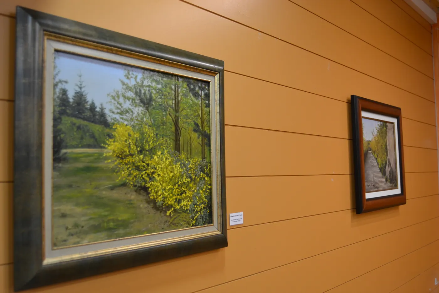 Exposició de quadres a l'oli de la pinedenca Sílvia Pimienta
