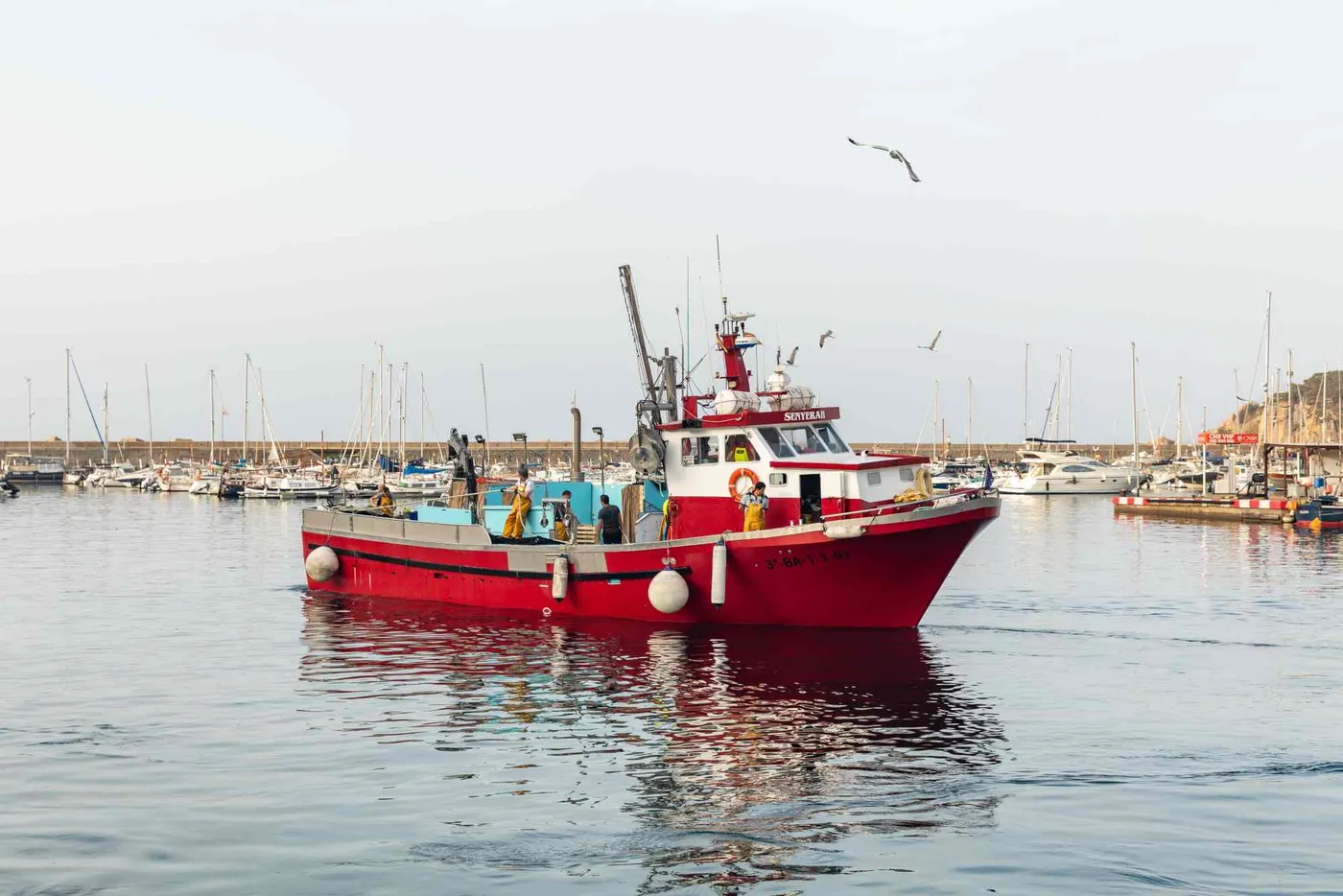 Comença la veda biològica de la pesca d'encerclament que durarà dos mesos