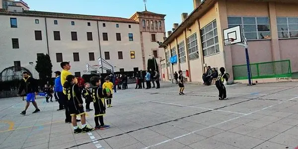 Els conjunts infantils federats del CB Altafulla juguen a casa aquesta jornada