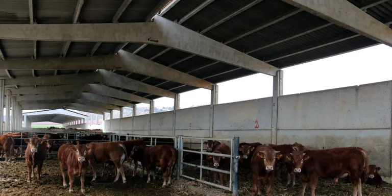 Els sindicats agraris adverteixen que la guerra a Ucraïna ha disparat els costos de producció