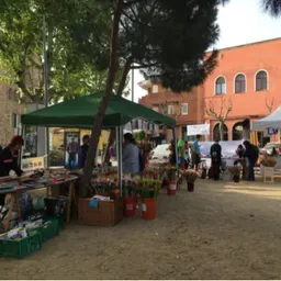 Activitats de Sant Jordi 21 - episode art