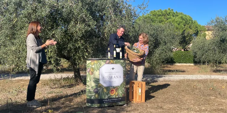 La producció d’oli d’oliva verge extra DOP Siurana es situarà, aquest any, en poc més de tres milions de quilos d’oli