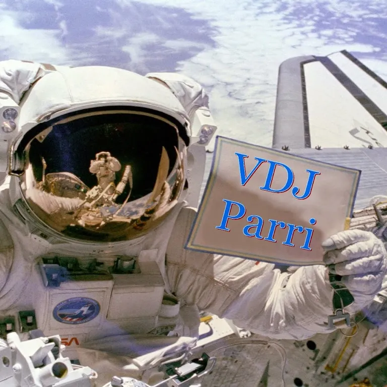 VDJ PARRI 2