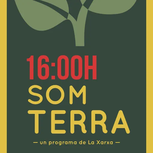 Som Terra