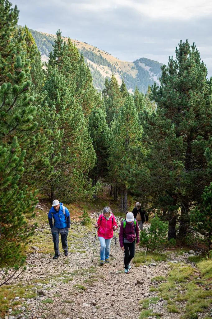 El Festival de Senderisme del Solsonès proposa una dotzena d'activitats per aquest cap de setmana