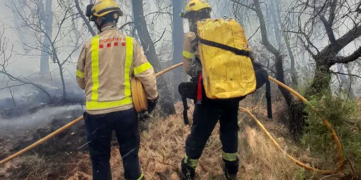 Es dona per estabilitzat l’incendi del Pont d’Armentera