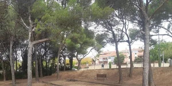 L'Ajuntament d'Altafulla continua les tasques de poda per "regularitzar" la situació de l'arbrat