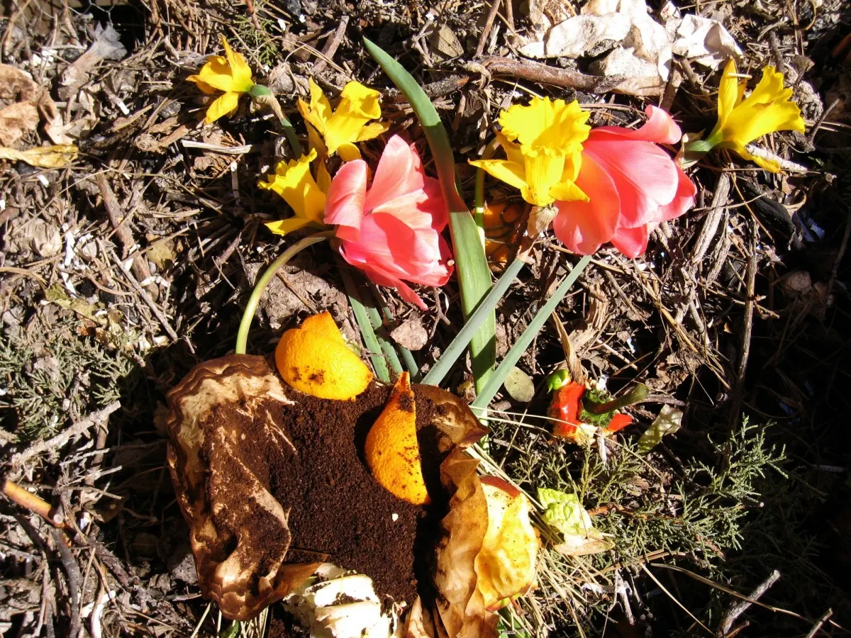 <strong>El Consell Comarcal activarà quatre punts d'autoservei de compost al Solsonès la setmana que ve</strong>