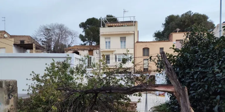El Morell es blinda pel vent i tanca els seus parcs fins a nou avís