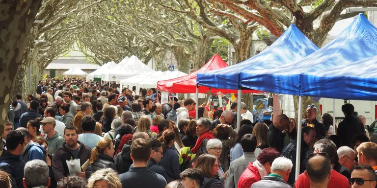 Els llibres de temàtica local triomfen a la Seu d'Urgell en el Sant Jordi més multitudinari