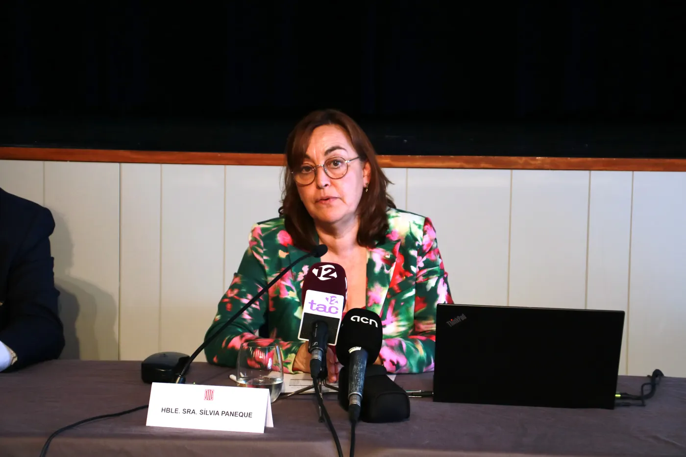 Paneque assegura que el Govern serà "contundent i perseguirà" les persones que hagin provocat els incendis d'Aiguamúrcia