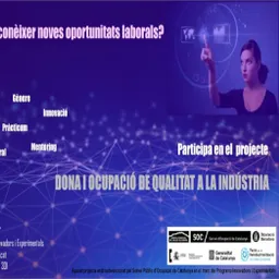 #6 - Consell Comarcal. Dona i ocupació - episode art