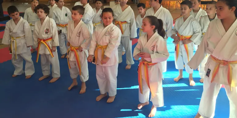 Més de 200 competidors al VIII Campionat de Karate de la Seu