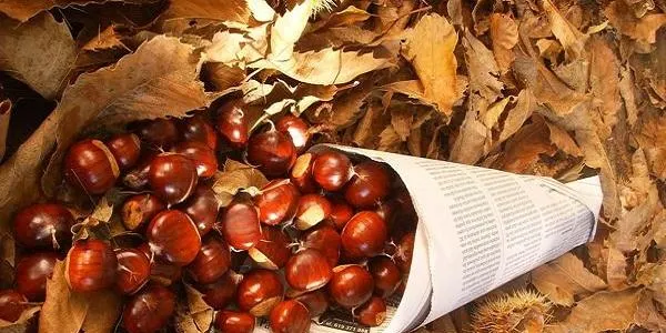 Els actes més arrelats de la Castanyada i les noves tradicions de Halloween conviuen a Torredembarra