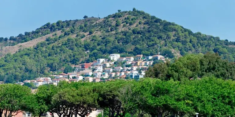 L'Ajuntament de Pineda executarà la delimitació de franges de seguretat contra incendis