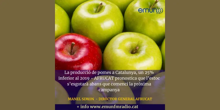 Puja el preu de la poma per la caiguda de la collita