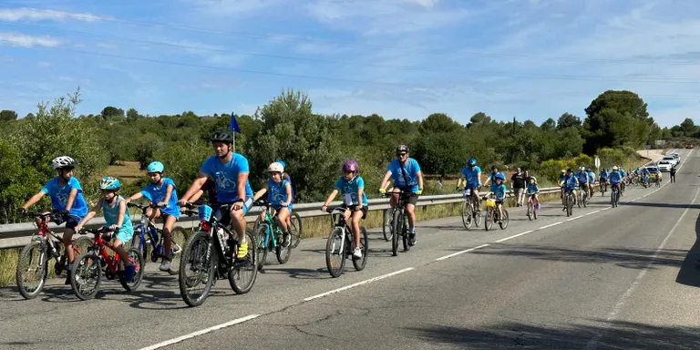 Enquesta en línia sobre la Pedalada Popular
