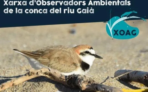 Foto: Associació Mediambiental La Sínia