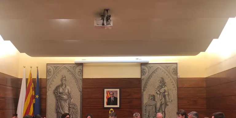 La menció de la República Catalana en una moció sobre el 25N provoca l'abstenció de la regidora del PSC