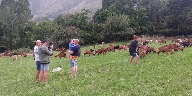 Promoció del sector del càmping del Pirineu al mercat del Benelux