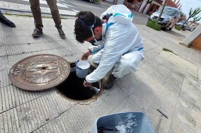 S’intensifiquen els tractaments preventius contra les paneroles