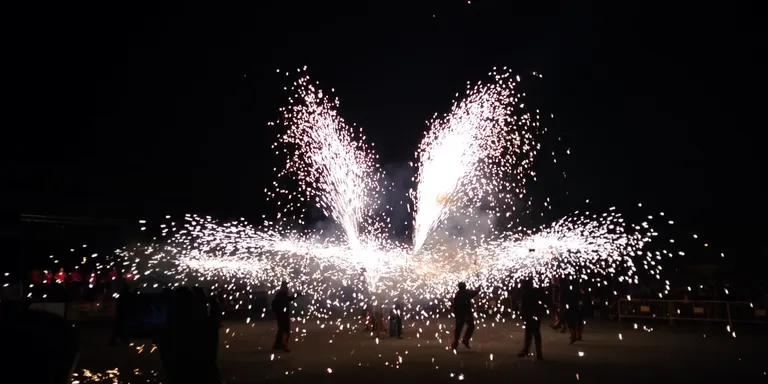 Set colles de diables, a la segona trobada provincial 'Som diables, som cultura'