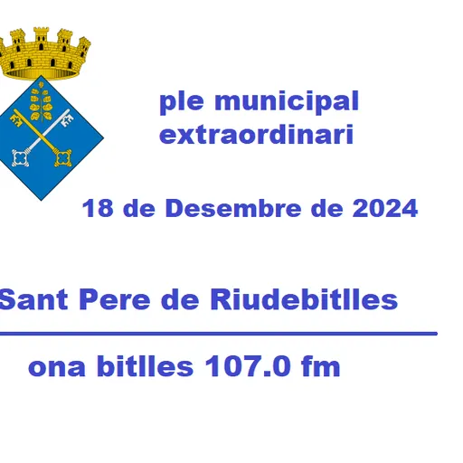 Ple Municipal  Extraordinari del 18 de Desembre de 2024