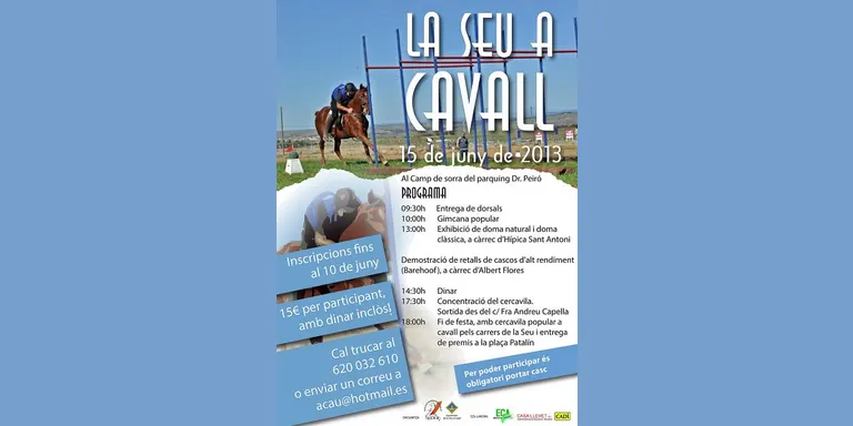 La Seu organitza una festa dedicada al cavall