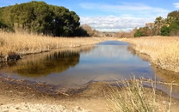 L’Associació Mediambiental La Sínia d’Altafulla se suma a la Setmana Sense Soroll