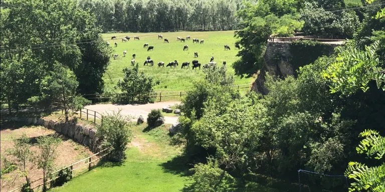 Prop de la meitat de la població catalana consumeix aliments ecològics certificats almenys un cop al mes
