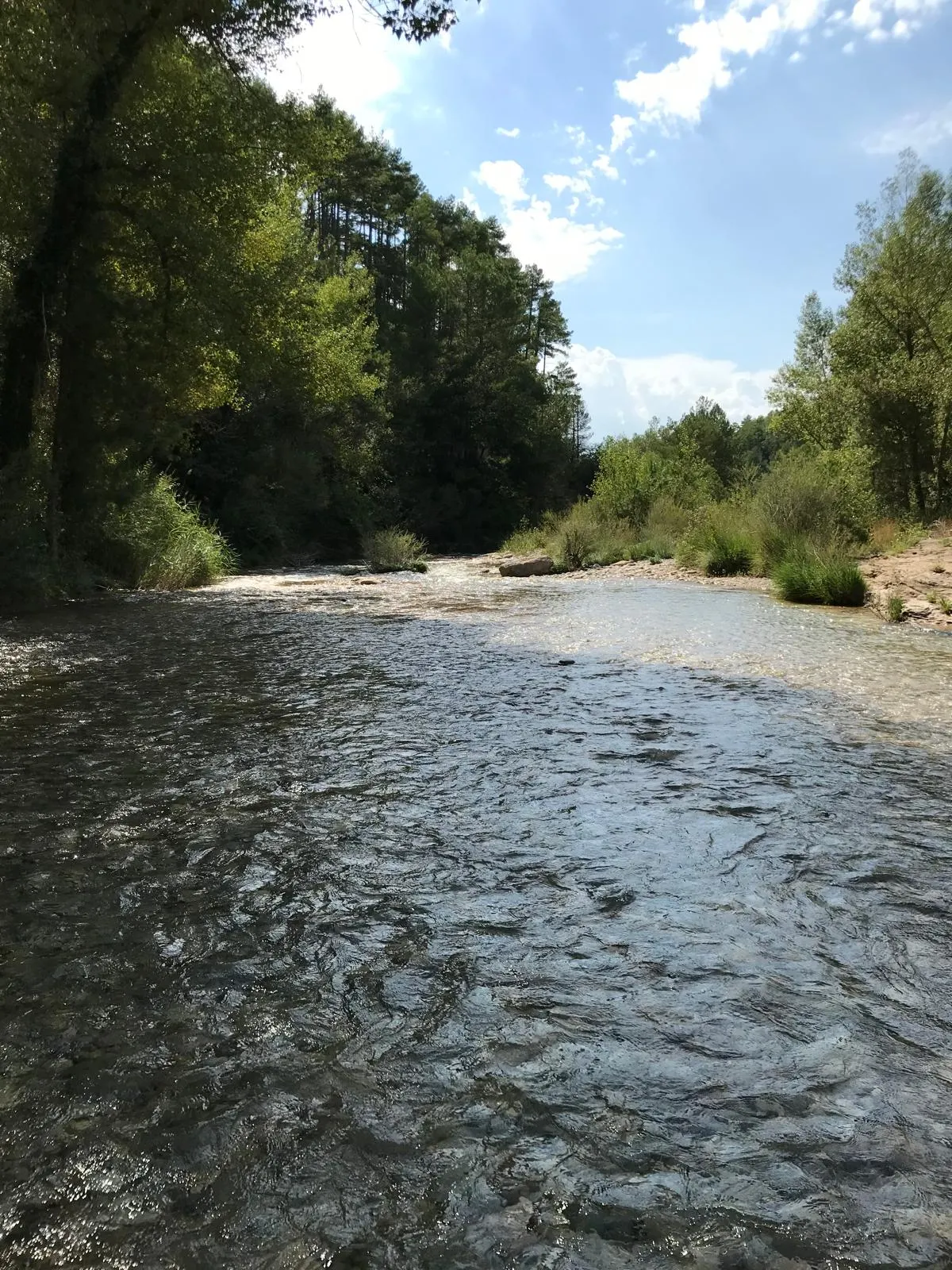La Ribera Salada serà l'escenari d'una prova pilot per identificar les zones de Catalunya més vulnerables als focs forestals