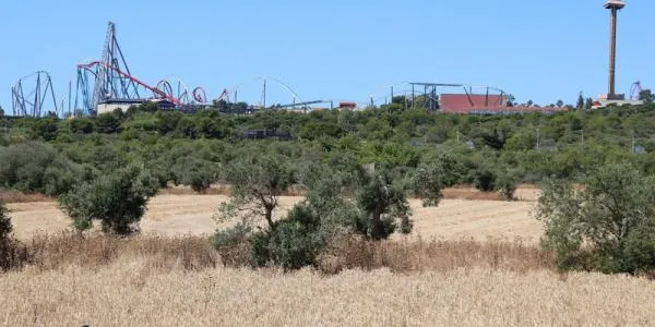 El president de la Generalitat, Quim Torra, reitera que no hi haurà "ni un sol euro públic" gastat al projecte de Hard Rock